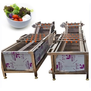 Machine à laver les légumes et fruits automatique à haut rendement, entraînée par un moteur, avec rouleaux brosse et nettoyage à bulles en SUS304 - Product Image 1