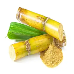 热卖甘蔗100% 天然优质白糖-ICUMSA 45白糖