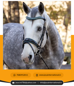 Intelligent New Arrived The Jewel Rock Crystal Snaffle Bridle Horse Products Supplier Exportation de fournisseurs en Inde - Product Image 5