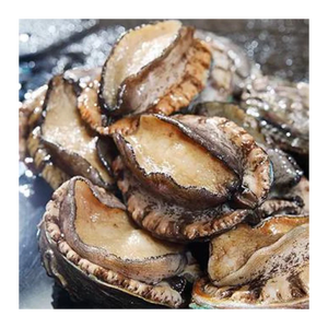 Abalone frais de mer à bas prix, disponible pour la vente en gros - Product Image 6