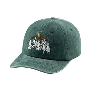 Gorro de Béisbol Deportivo de Diseño Clásico Personalizado, 100% Algodón Ecológico, Correa Trasera Ajustable, MOQ Bajo, Unisex - Product Image 1