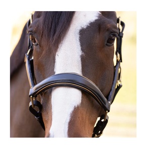 Licou élégant en poulain en cuir de style selle anglaise avec deux pièces de couronne et boucles à rouleau ajustées Halters larges - Product Image 4