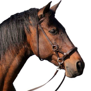 Bridas de caballo de cuero de buena calidad para montar a caballo profesional, logotipo personalizado, superventas, precio bajo, a la venta - Product Image 2