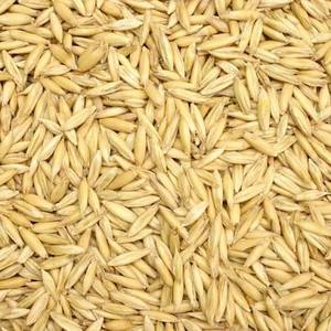 Avena Natural en Hojuelas Grandes, Avena Enrollada, Grano Orgánico Seco para Procesamiento de Alimentos y Uso en Restaurantes, en Venta - Product Image 2