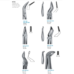 Fórceps para Extracción Dental de Raíces 150, Incisivos Superiores, Instrumentos Quirúrgicos, Fórceps para Extracción de Dientes - Product Image 5