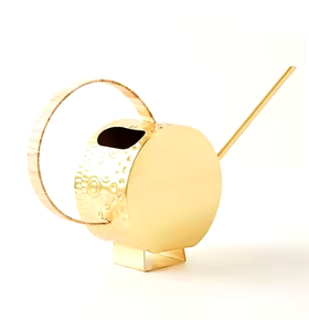 Arrosoirs en métal luxueux les plus vendus avec long bec très demandé maison jardin fournitures de jardin décoratives meilleur vendeur - Product Image 4