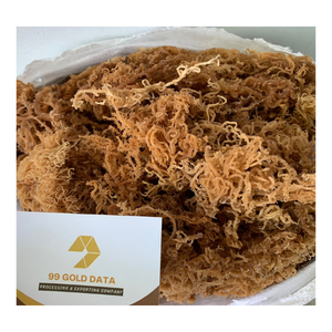 Precio competitivo del principal exportador Seamoss irlandés artesanal salvaje/musgo de mar seco Algas marinas de alta calidad de Vietnam-Caryln - Product Image 3