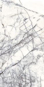 Beau modèle céramique et porcelaine 600X1200mm de conception européenne fabriquant en Inde pour la salle de conférence. - Product Image 4