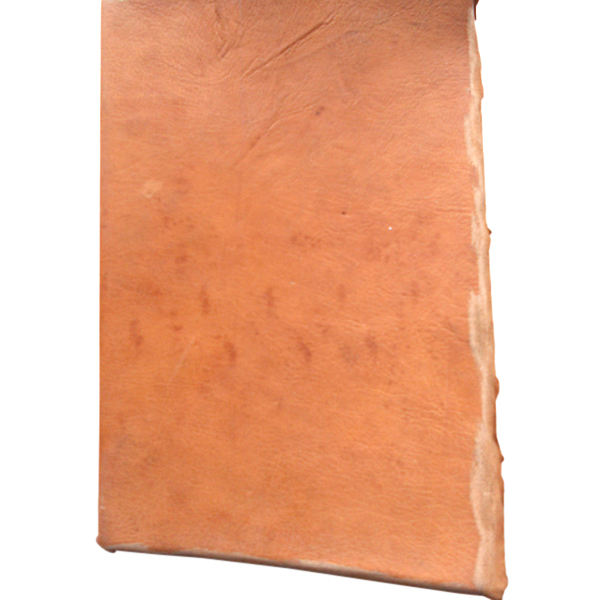 สีน้ำตาล