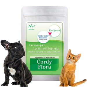 Tự Nhiên Nhật Bản Flavour Pet Dinh Dưỡng Bổ Sung Khỏe Mạnh Số Lượng Lớn Nguồn Cung Cấp Cho Chó Và Mèo Chăm Sóc Sức Khỏe - Product Image 1