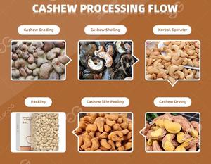 Nouveaux fabricants de machines de traitement de noix de cajou décortiqueurs ligne de production de traitement automatique de noix de cajou - Product Image 4