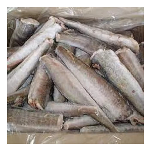 Frozen Conger suministro a granel al por mayor mariscos Premium precio asequible - Product Image 6