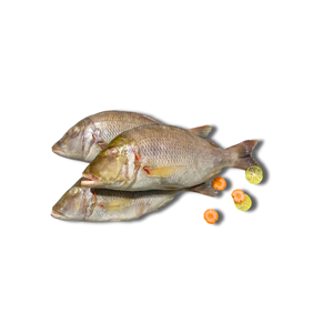 Pescado Emperador Entero Congelado IQF, Mariscos de Vietnam, Empaque al Vacío a Granel, Mercado Mayorista de Exportación, 24 Meses de Duración - Product Image 2