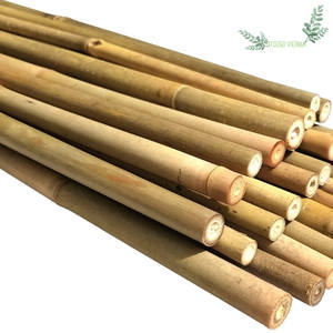 Poteaux de bambou pour la construction faits de poteaux de bambou colorés et 100% naturel de haute qualité, écologique d'Eco2go Vietnam - Product Image 1
