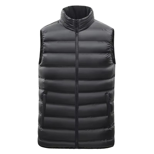 Veste matelassée pour homme, bleu marine, col montant, fermeture éclair, imperméable, coupe-vent, décontractée, hiver, rembourrage en coton, camouflage uni - Product Image 2