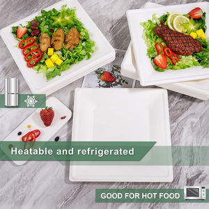10-Inch <strong>Square</strong> Bagasse Eco-Friendly Disposable <strong>Plates</strong> for Camping Restaurant Delivery Party Catering &amp; Takeout Food Packaging - Product Image 4