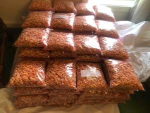 ถุงใส่กุ้งสำหรับทารกแบบแห้ง - Product Image 3