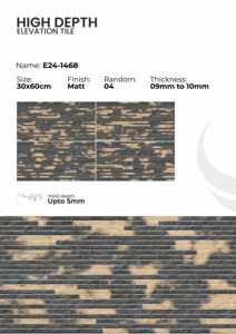 Carreaux de mur extérieur en porcelaine 300x600mm, résistants aux intempéries - Product Image 3