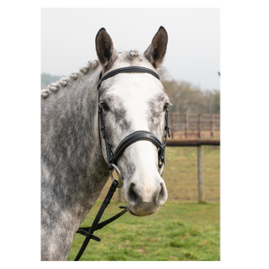 Construire une bride à manivelle anglaise en gros équine licou tack équitation tête équipement équestre bride de cheval - Product Image 1