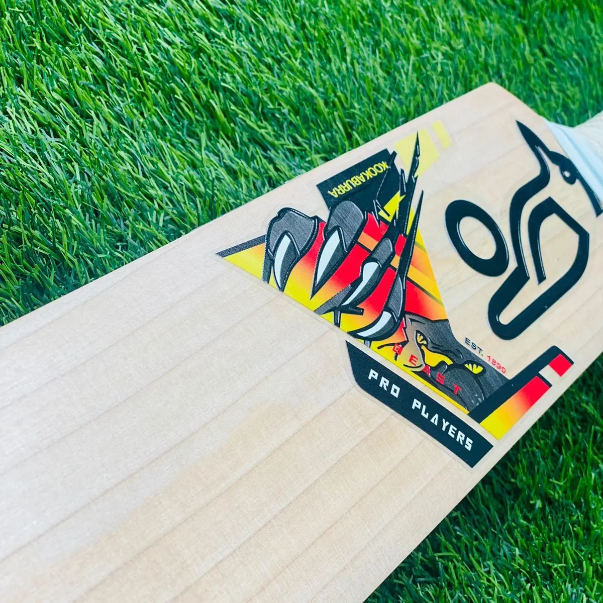 2022 nuovo design mazza da cricket in salice inglese di alta qualità con un prezzo economico