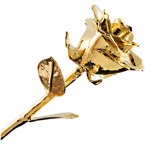 Rose en or 24 carats véritable fleur de rose éternelle avec support et boîte-cadeau pour l'anniversaire de la Saint-Valentin et le mariage Vente en gros - Product Image 4