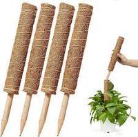 Bâtons de coco naturels écologiques pour l'agriculture, en tourbe de coco, taille personnalisable pour le jardinage