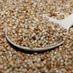 Millet perlé biologique (Bajra) sans cholestérol et coeur sain avec des avantages digestifs sains Superfood indien - Product Image 6