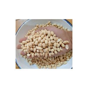 Suministro a granel de granos de maní blanqueados para compradores mayoristas globales - Product Image 4