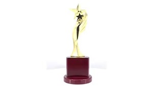 Trofeo de metal Rising Star más buscado para celebraciones de éxito de la empresa disponible a precio competitivo de la India - Product Image 4