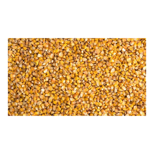 Maíz amarillo de partículas grandes de alta calidad, maíz seco, superventas, alimento para animales para caballos, ganado, cerdo - Product Image 1