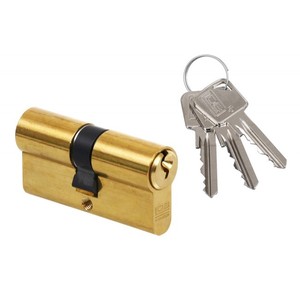 Cylindre de porte LOB ARES WS54 50/50 Laiton - Product Image 1
