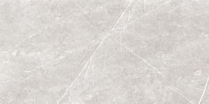 Couleurs vives Conceptions personnalisées planche de bois gres porcelanto 600X1200mm Fabrication en Inde pour un usage commercial. - Product Image 2