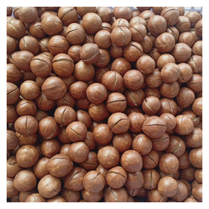 Noix de Macca Noix de Macca séchées du Vietnam Riche en huile et en protéines Noix de qualité d'exportation avec emballage OEM direct pour les ventes en vrac - Product Image 3