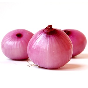 Oignon blanc frais en thaïlande - Product Image 1