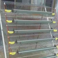 Cage d'élevage de cailles galvanisée par immersion, 6 niveaux, type A, en fil métallique, durable, antirouille, pour équipement d'élevage de cailles