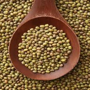 Frijoles Mung Verdes Ricos en Nutrientes Disponibles para Exportación a Precio de Granja - Product Image 2