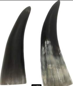 BEST QUALITY OF VIKING DRINKING HORN FOOD SAFE GENUINE HORN VIKING Drinking Beer Horn for Bar Restaurant Use Christmas - Product Image 6