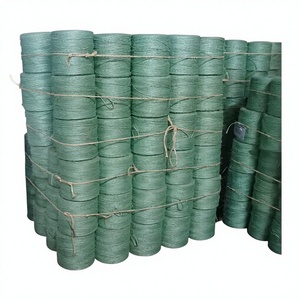 Cuerda de sisal natural, cordón duradero ecológico para jardinería, artesanía, soporte de plantas, decoración rústica para el hogar y proyectos creativos de bricolaje - Product Image 1