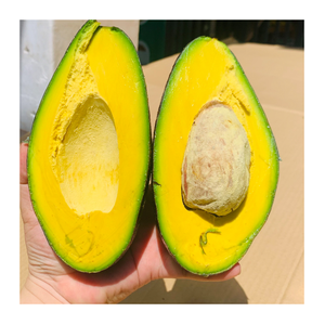 Venta al por mayor de aguacate congelado de Vietnam-Suministro de aguacate congelado a granel para batidos, guacamole, pastas para untar y postres congelados - Product Image 5