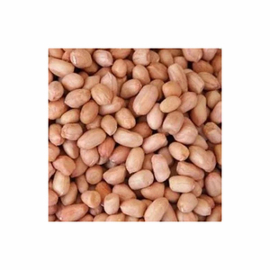 Service OEM Vente en gros de cacahuètes frites Noix moulues Fournisseur de cacahuètes grillées Cacahuètes crues en vrac crues de haute qualité - Product Image 4