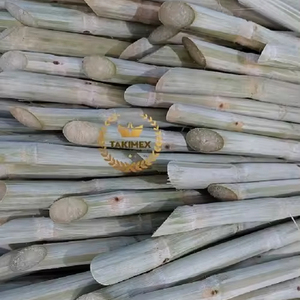 Takimex แพ็คสุญญากาศแช่แข็งทั้งตัวทำจากอ้อยแช่แข็งแช่แข็งรสชาติหวาน - Product Image 1