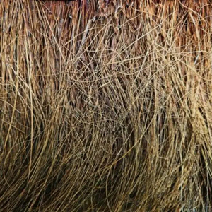 เครื่องขัดมะพร้าวธรรมชาติจากผู้ผลิตอินเดียทำความสะอาดครัว - Product Image 1