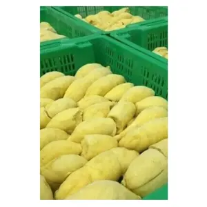 QUICK BUY-DURIAN FRUIT FROZEN Items from Vietnam Produced 100% Fresh Material with Advanced Drying Technolog