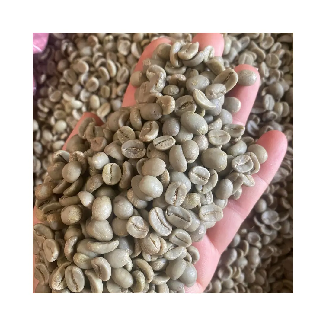 Siap untuk ekspor grosir panggang jumlah besar 100% Robusta biji kopi panggang lezat Arab kopi terbaik di Vietnam