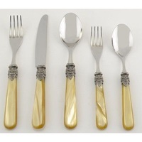 Ensemble de couverts de luxe écologiques avec manche en résine et acier inoxydable poli miroir pour la mise en place de la table de rentrée scolaire