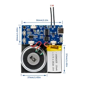 Modulo audio per biglietto di auguri USB scaricabile con sensore di luce Chip audio per casse di biglietti di auguri regalo
