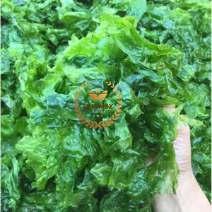 Top Quality Fertilizer Green Seaweed made in Vietnam Best price for first order