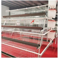 Meilleure vente Cage de type A pour poulaillers équipement de poulailler Cage de batterie pour oiseaux, ferme et usage domestique