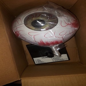 Modèle d'œil humain pour l'enseignement médical Modèle d'enseignement anatomique - Product Image 3