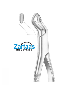 Fórceps de extracción de acero inoxidable de alta calidad FORCEPS DE RESECCIÓN (216/Witzel) exportadores y fabricantes de raíces superiores - Product Image 1